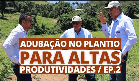 Imagem do Adubação no plantio, formação de lavoura de café para altas produtividades - E.p 02